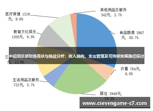 中超俱乐部财务现状与挑战分析：收入结构、支出管理及可持续发展路径探讨