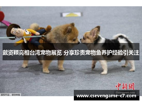 戴资颖亮相台湾宠物展览 分享珍贵宠物鱼养护经验引关注