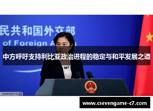 中方呼吁支持利比亚政治进程的稳定与和平发展之道