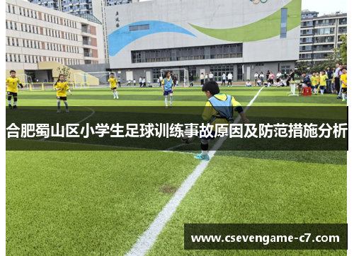 合肥蜀山区小学生足球训练事故原因及防范措施分析