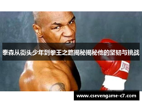 泰森从街头少年到拳王之路揭秘揭秘他的坚韧与挑战